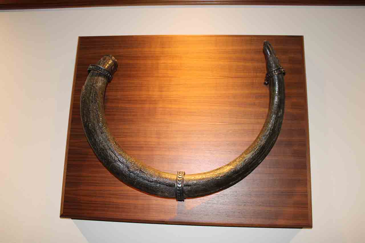 2024_Convention_Amish_Tour_David_Warther's_Curving_Museum_15 2024_Convention_Amish_Tour_David_Warther's_Curving_Museum_15