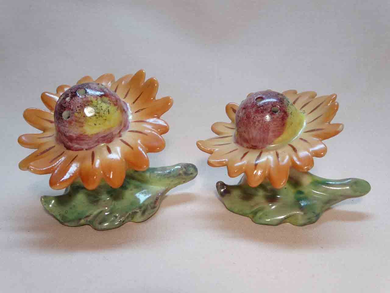33225 Goebel flowers salt and pepper shakers