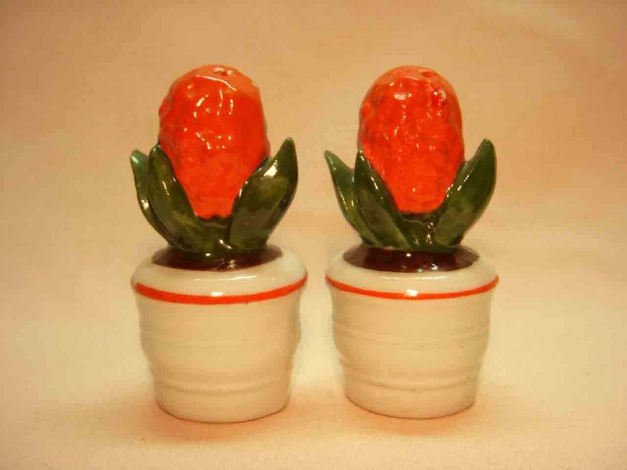 4599 Germany flowers salt and pepper shakers