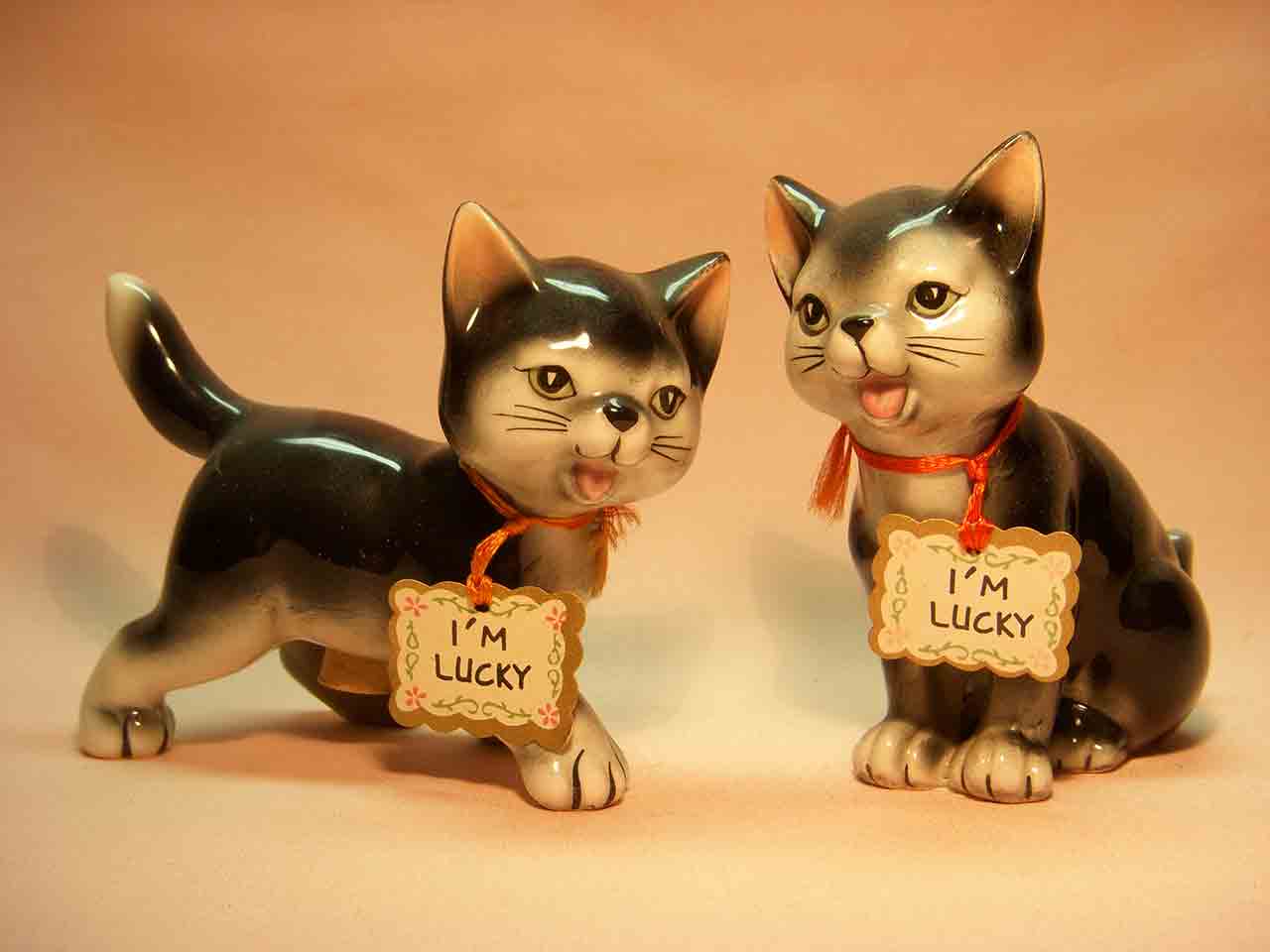 7091 Kittens by Karen - cat salt and pepper shakers - "I'm Lucky"