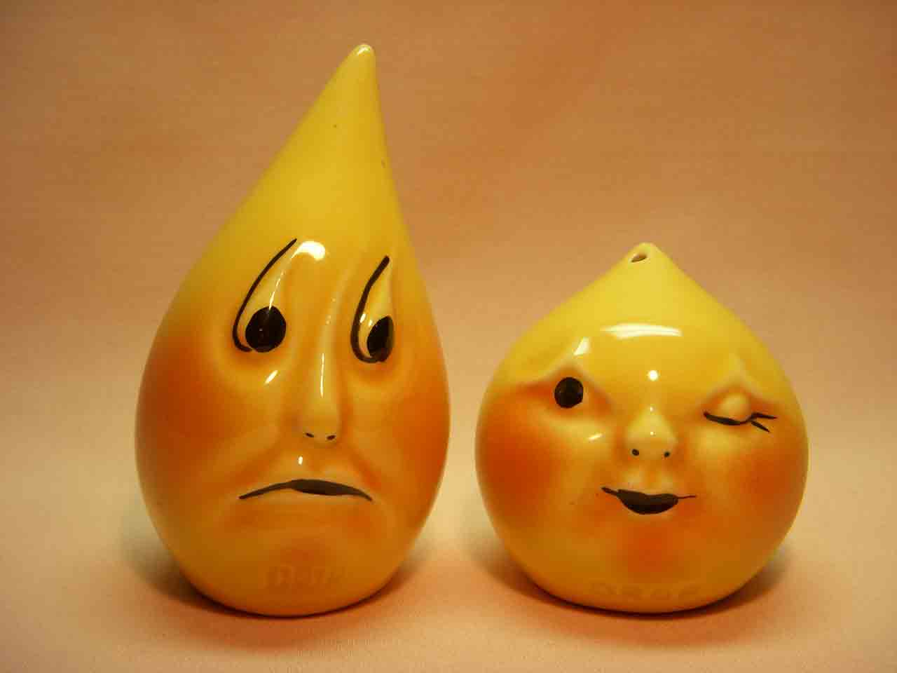 21656 Vallona Starr Drip and Drop salt and pepper shakers