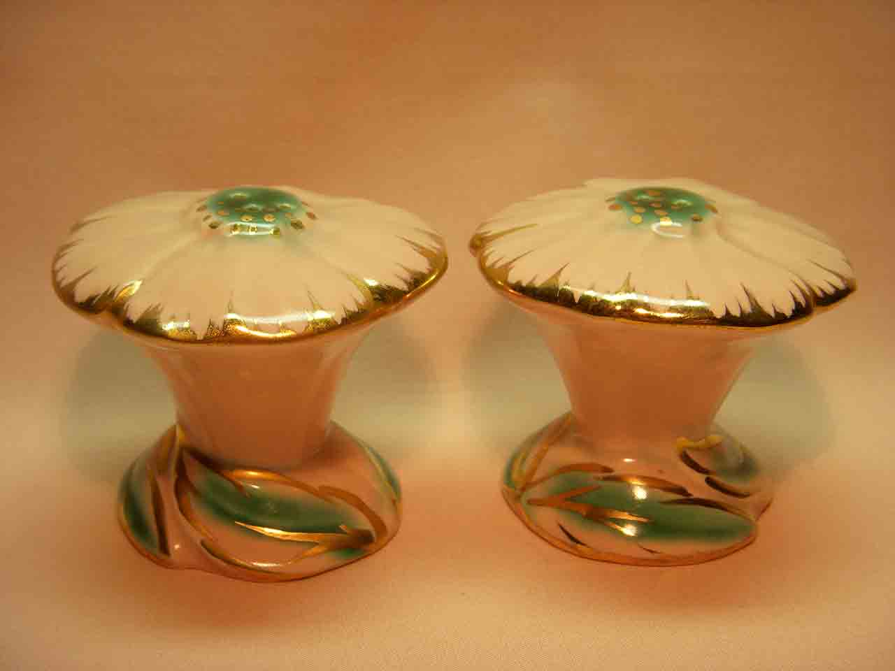 21675 Vallona Starr cosmos salt and pepper shakers