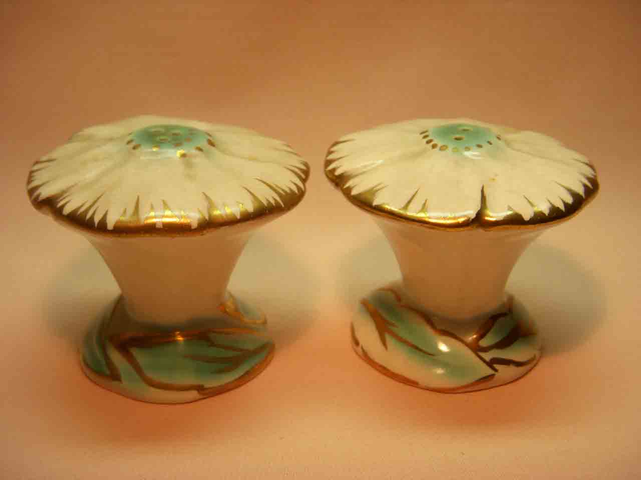 21683 Vallona Starr cosmos salt and pepper shakers